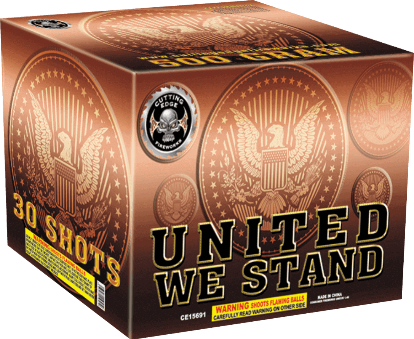 UNITED WE STAND | 30 SHOT CAKE