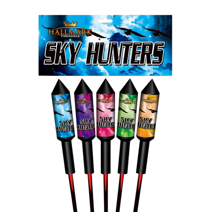 CHASSEURS DU CIEL